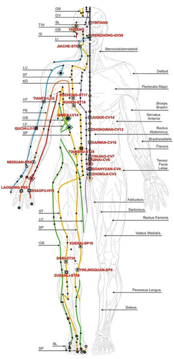 Chinese_meridians